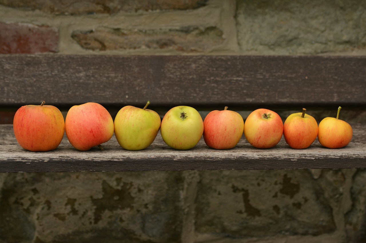 Image - apple goldparmäne fruit harvest