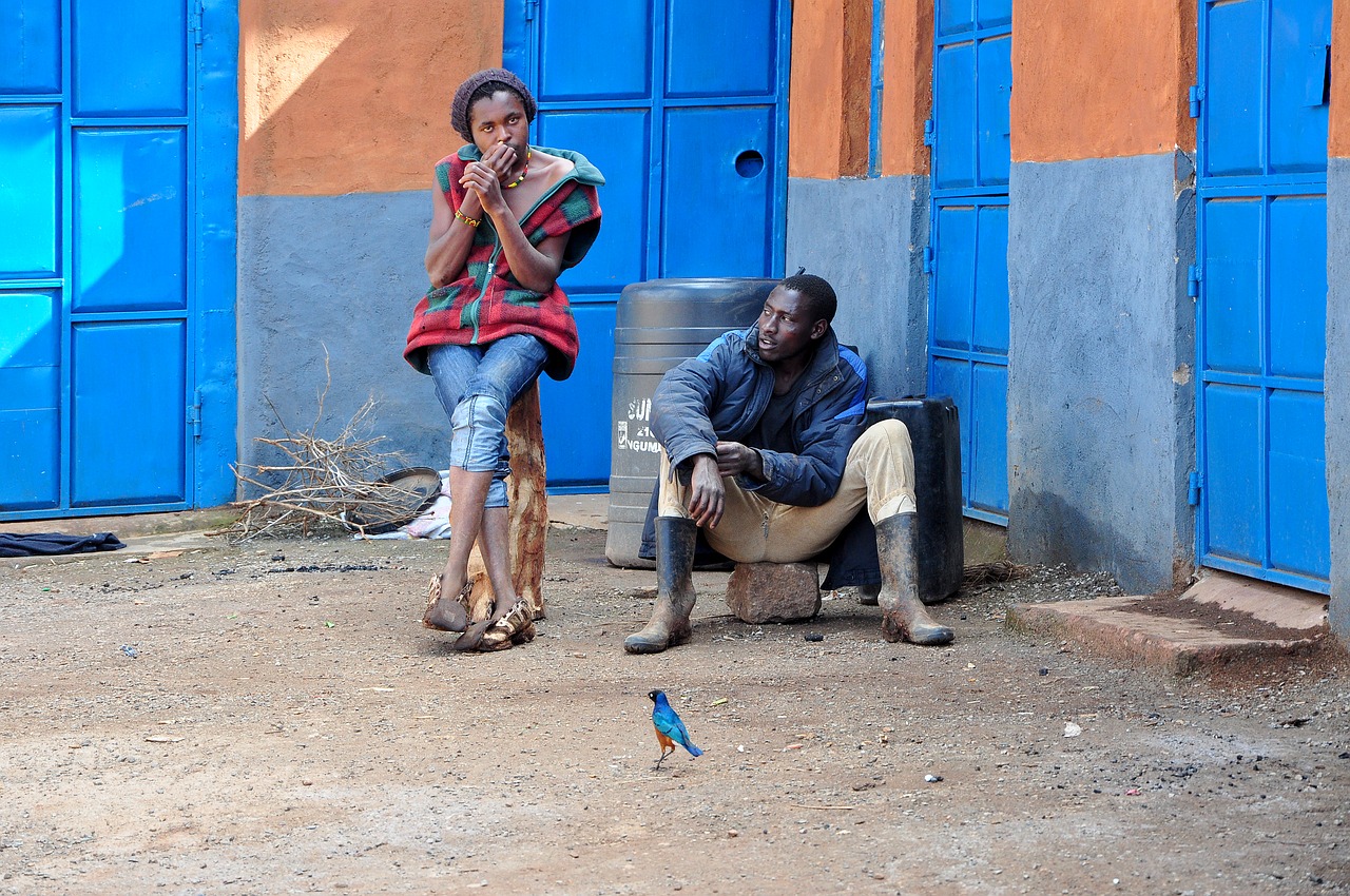 Image - africa friends peaceful bird break