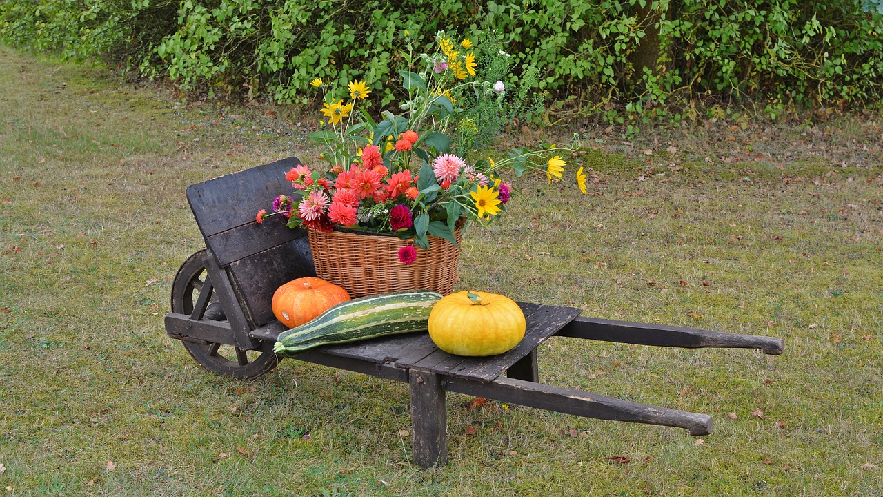 Image - thanksgiving decoration