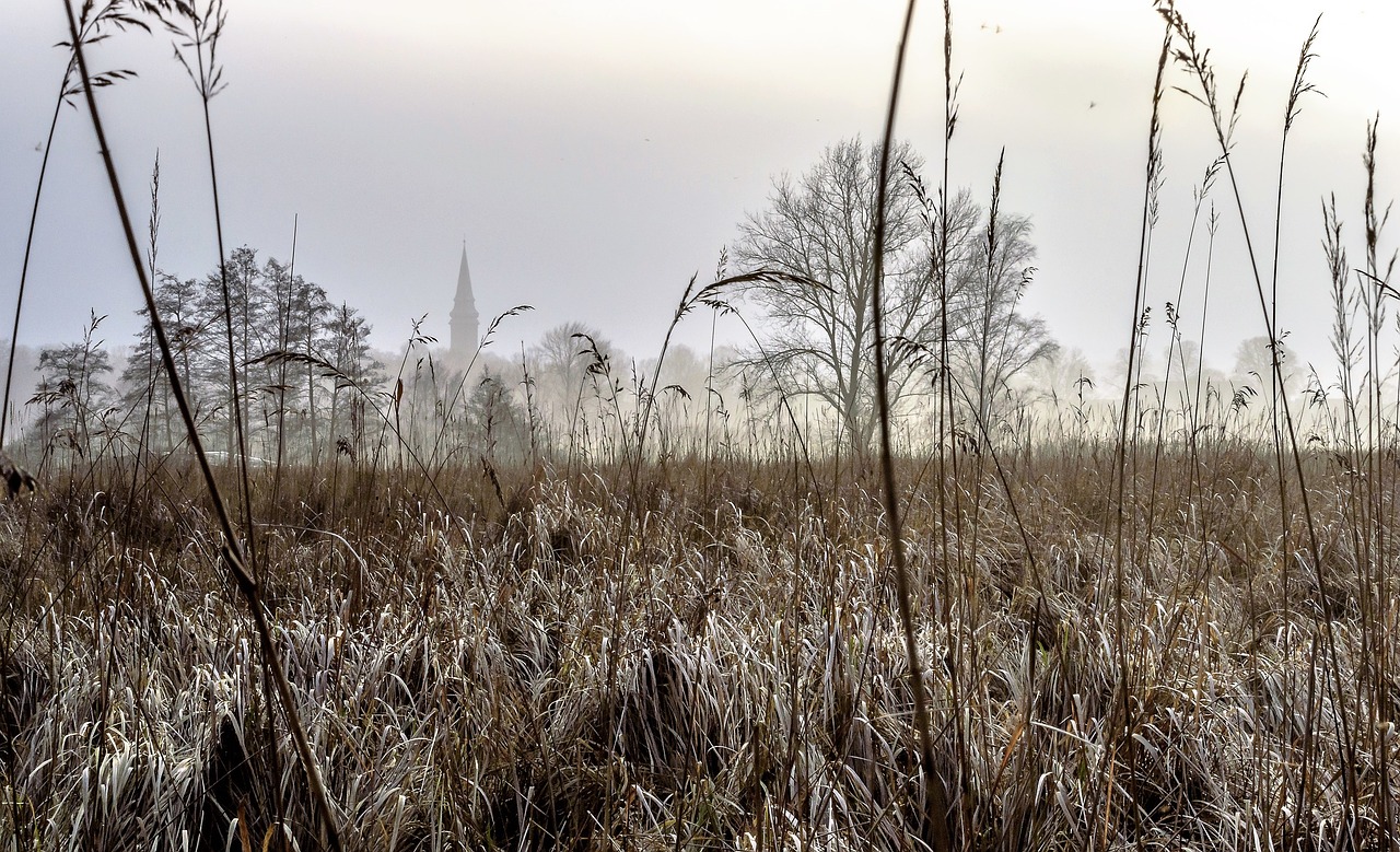 Image - landscape steeple twilight fog