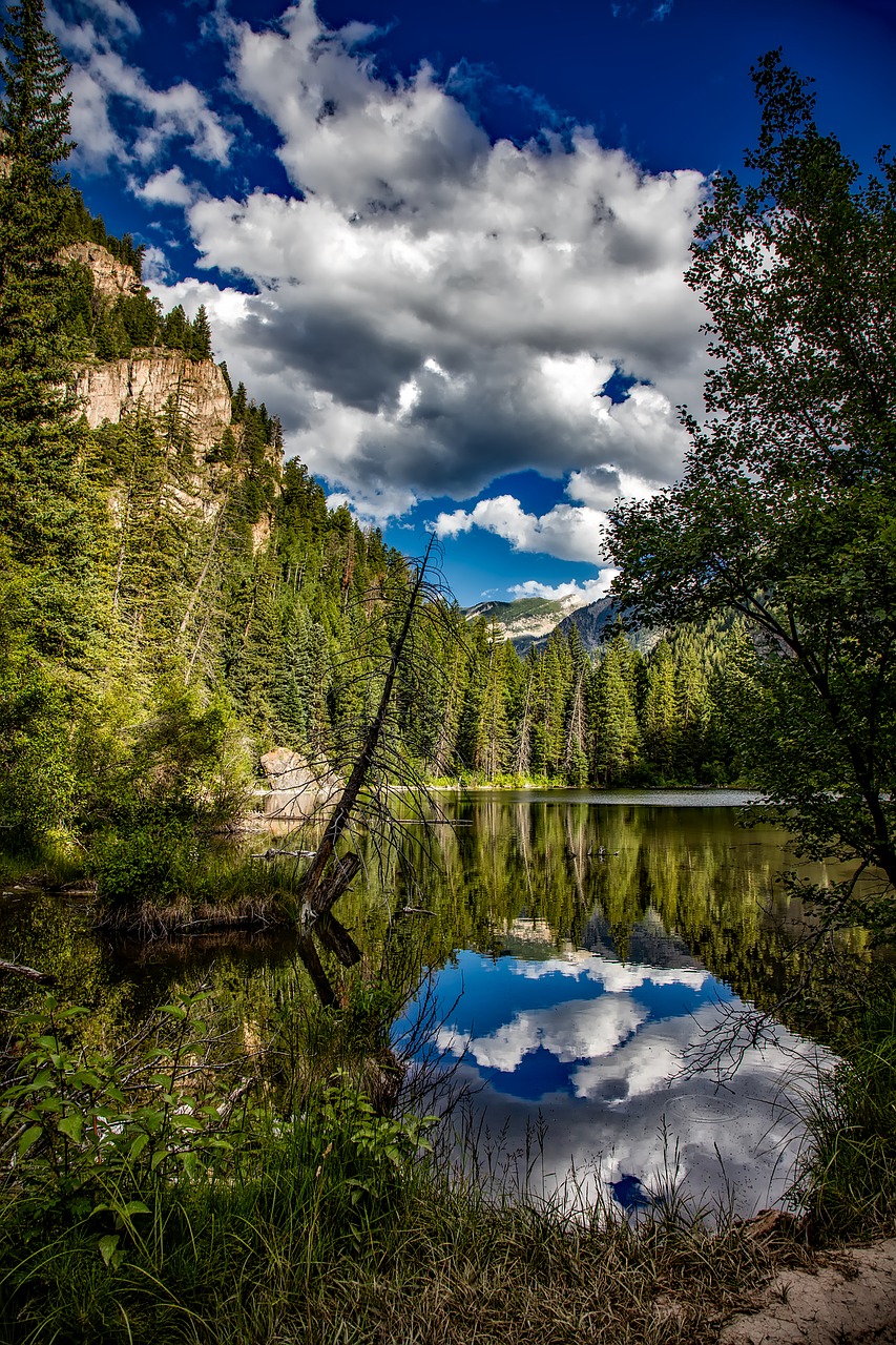 Image - lizard lake colorado reflections