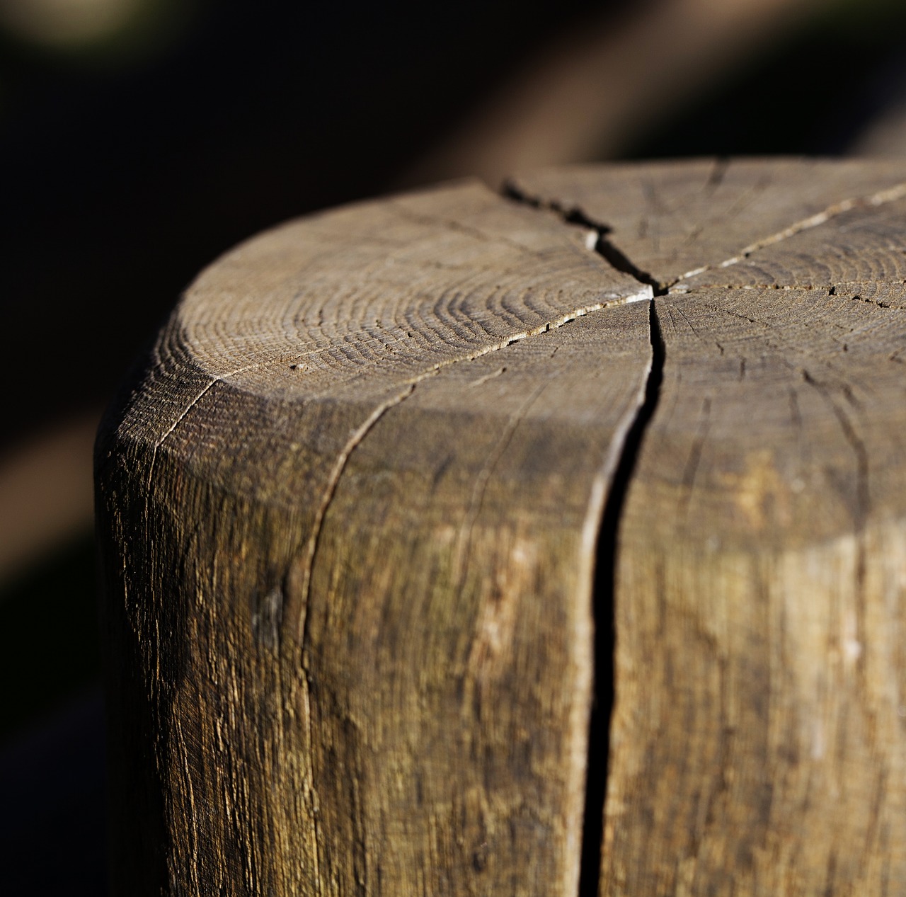 Image - stump logs stake wooden wood