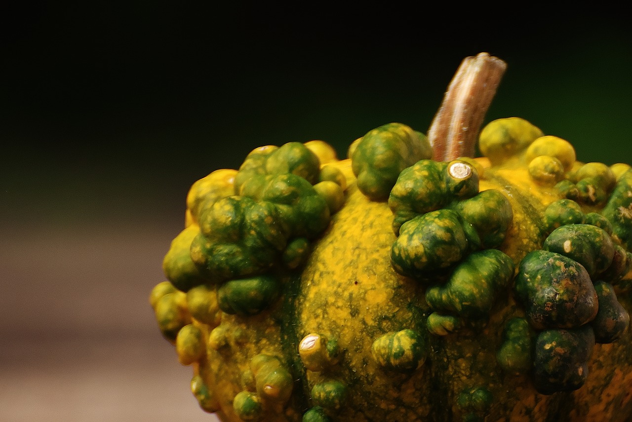 Image - pumpkins decorative squashes nature