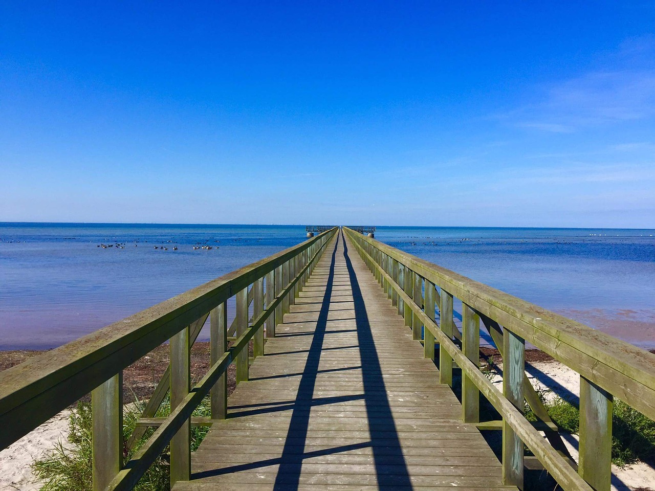 Image - bridge web sea wide horizon