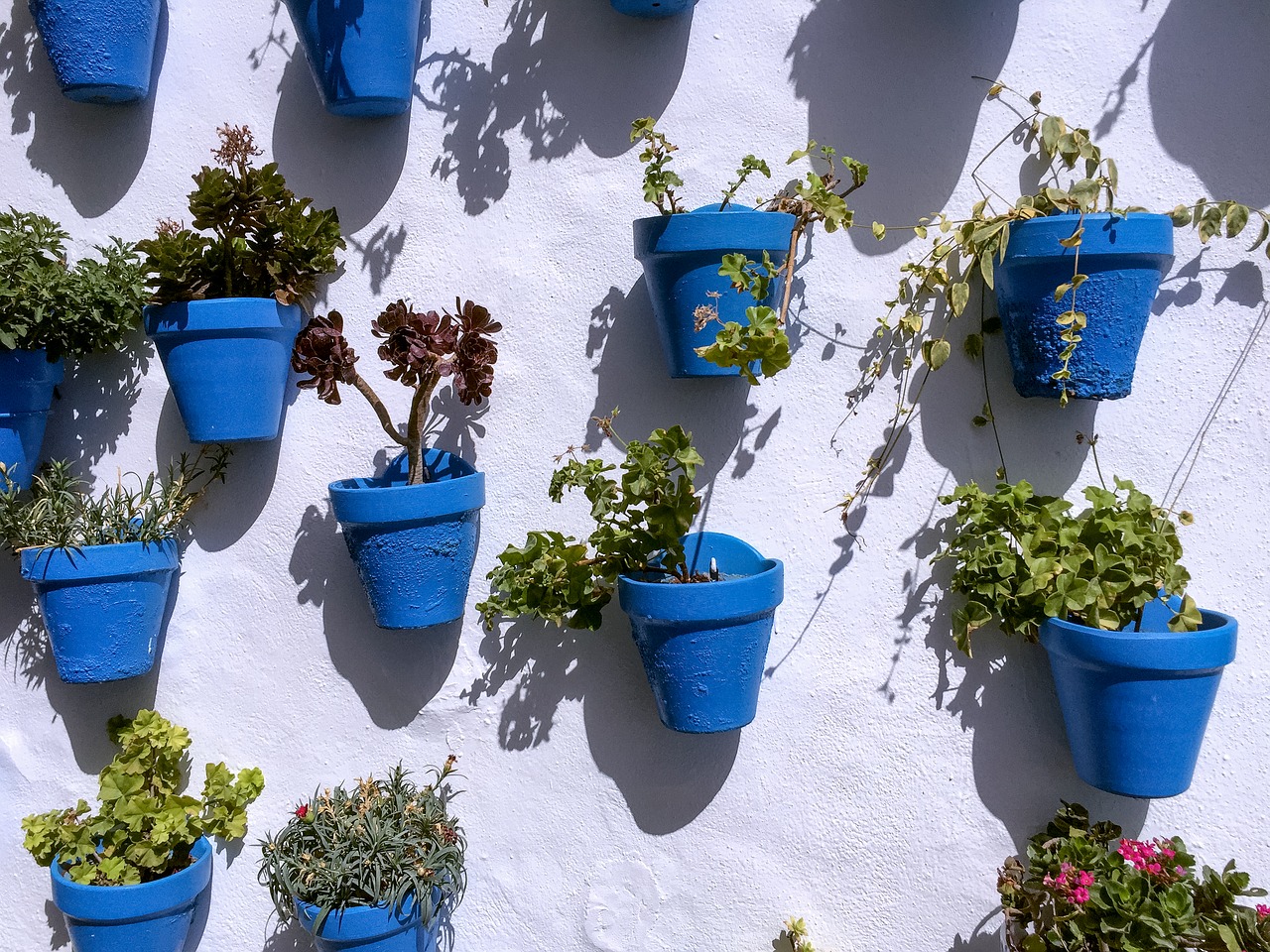 Image - pots blue wall pattern flower sun