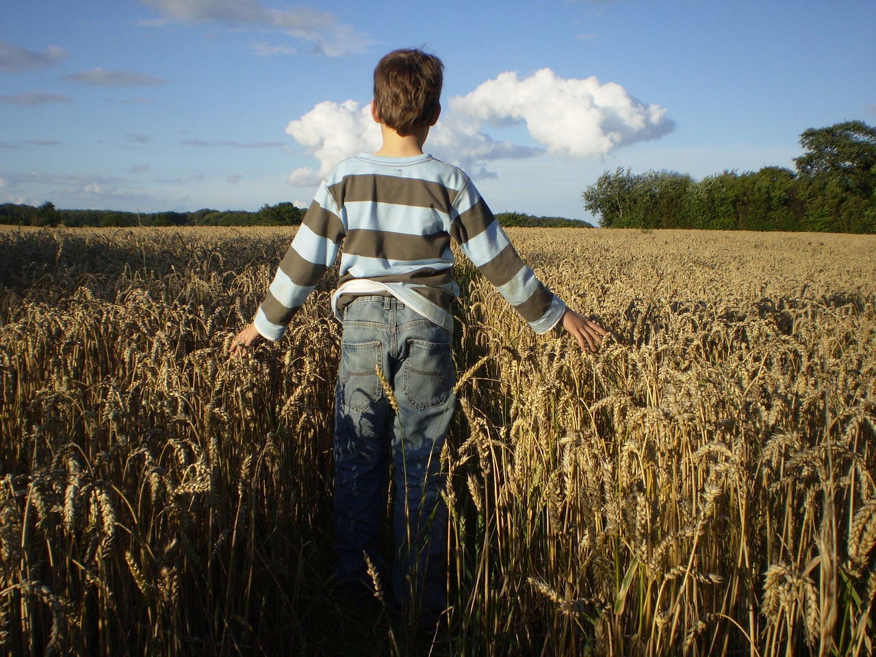 Image - thanksgiving child autumn cereals