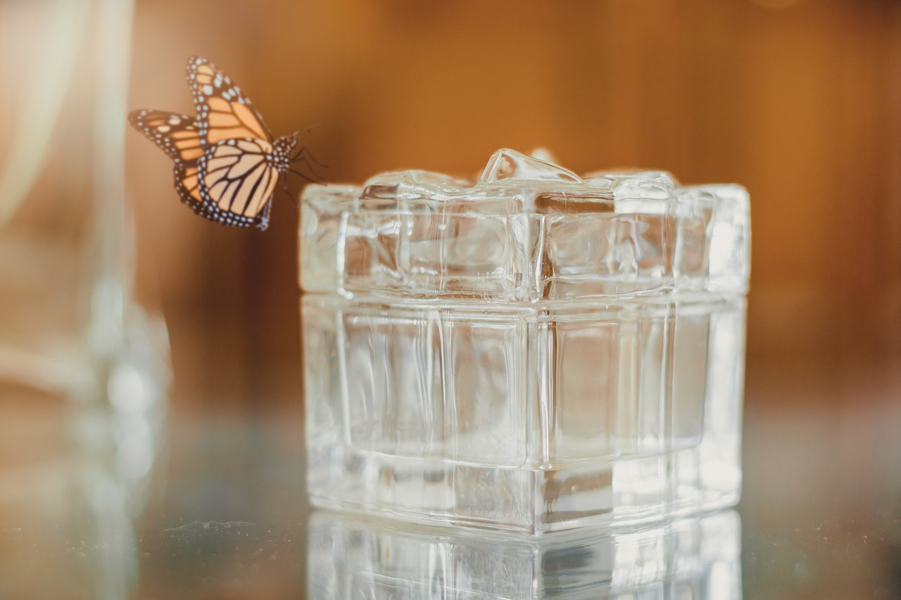 Image - cube butterfly glass