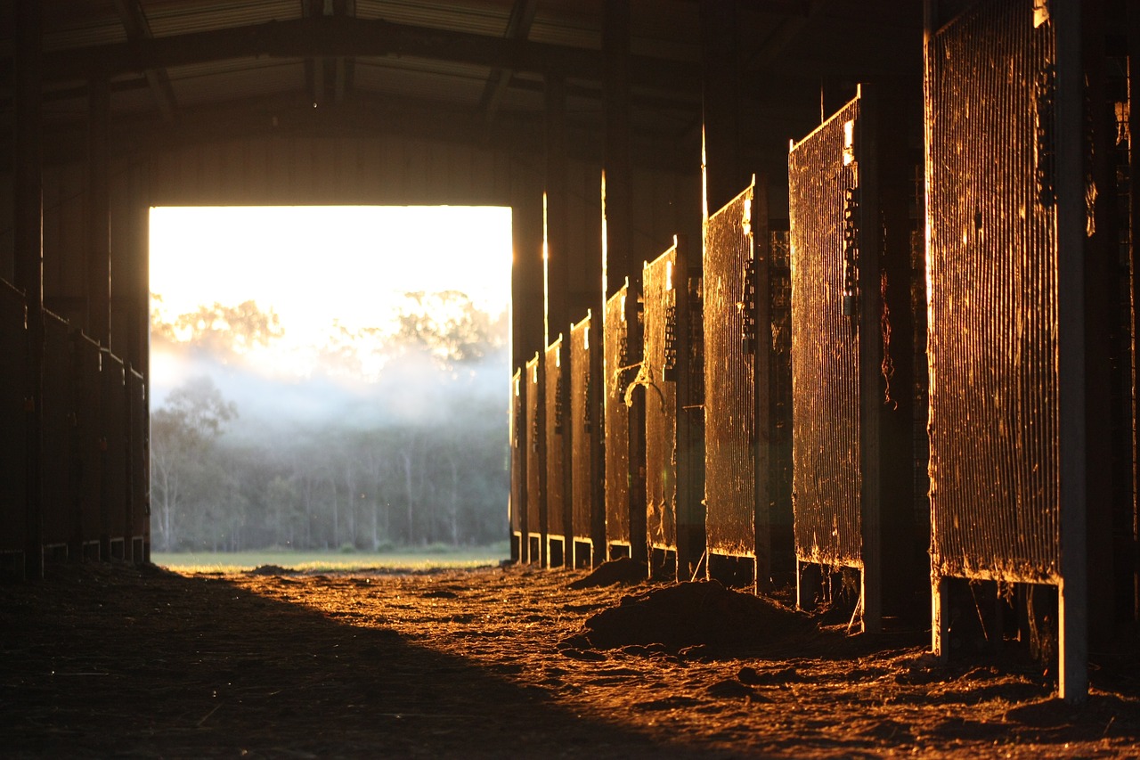 Image - horse stable farm animal barn sun