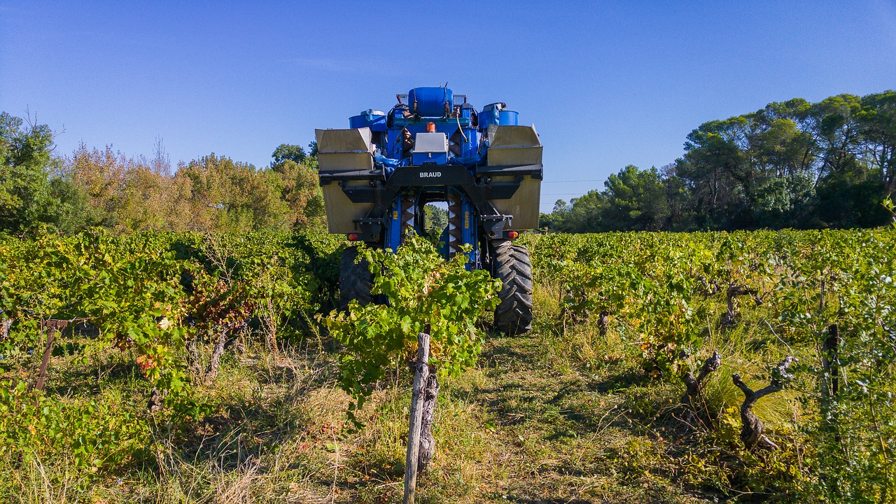 Image - harvest grape harvesting machine