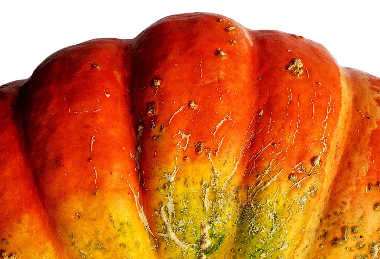Image - squash pumpkin potimarron detail