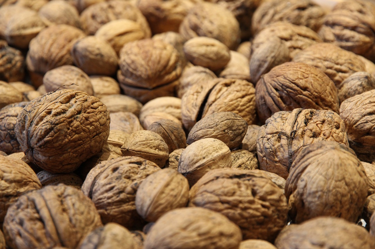 Image - walnuts walnut nuts close