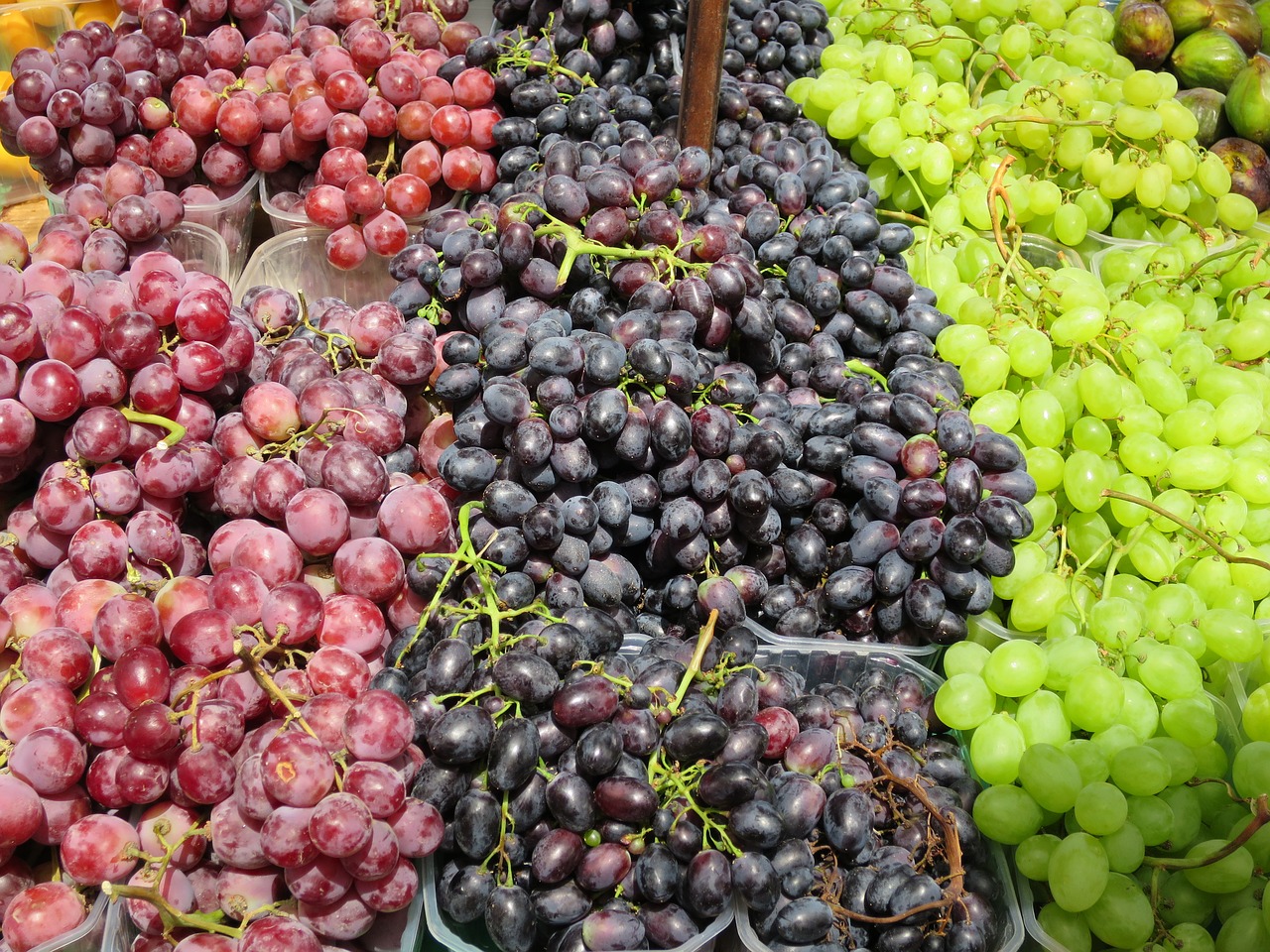 Image - grape fruit still life vintage