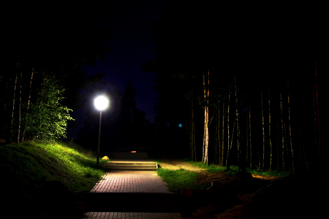 Image - gloomy moonlight night mysterious