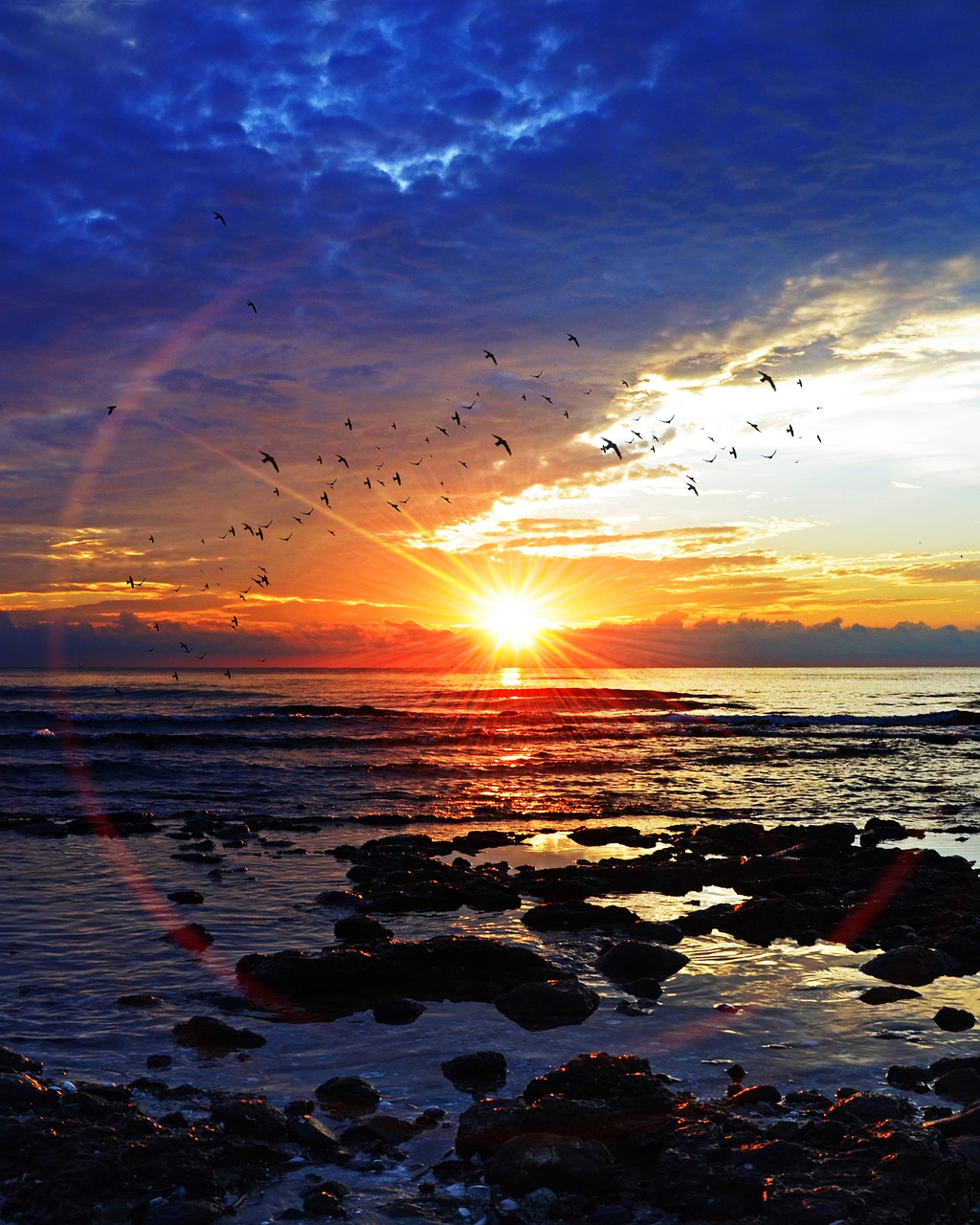 Image - sea water beach ocean wave travel