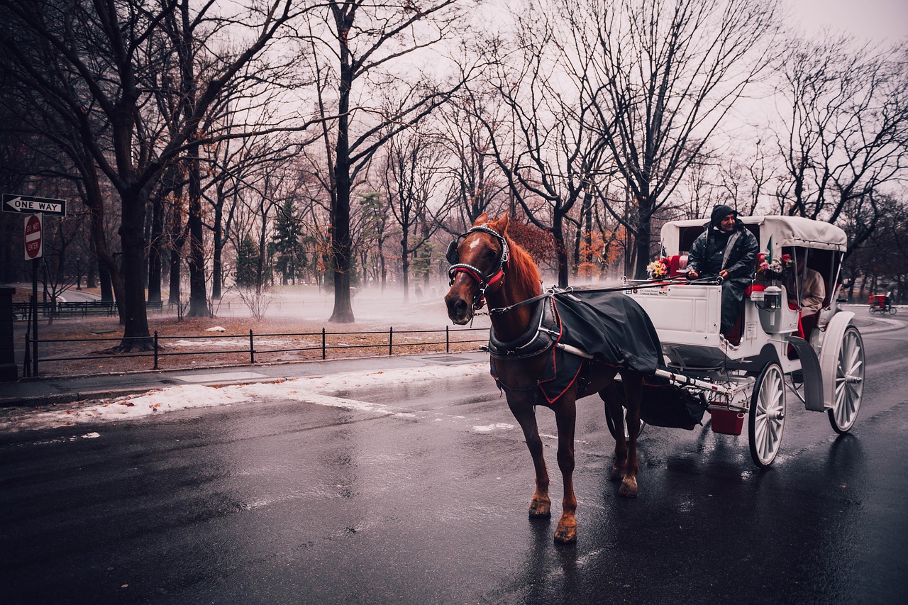 Image - central park new york ho