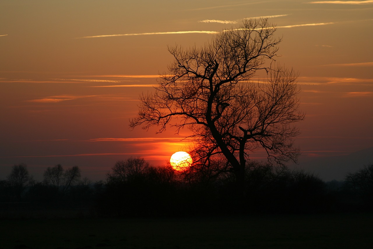 Image - sunset tree abendstimmung twilight