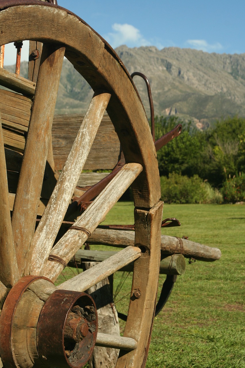 Image - cart saws cordoba field