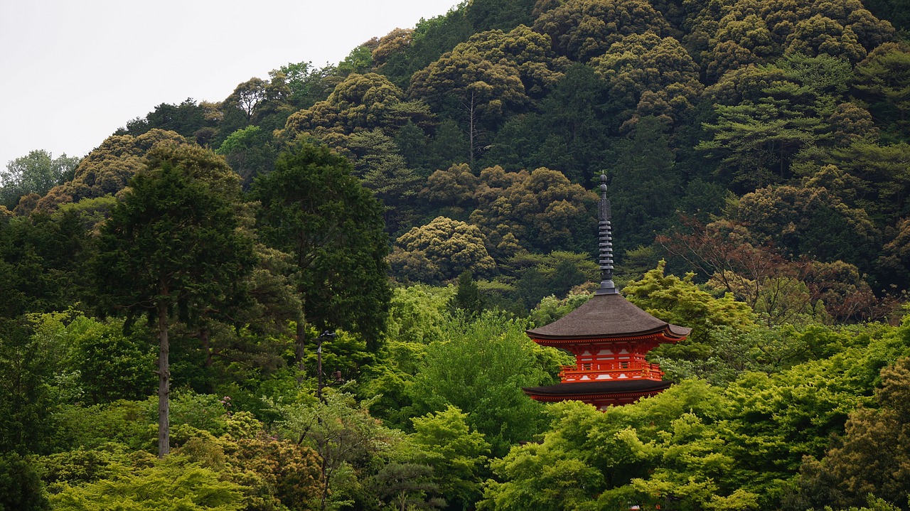 Image - kyoto the scenery temple asia roof