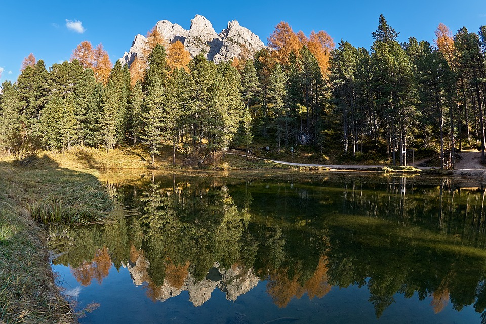 Image - autumn lake trees forest nature