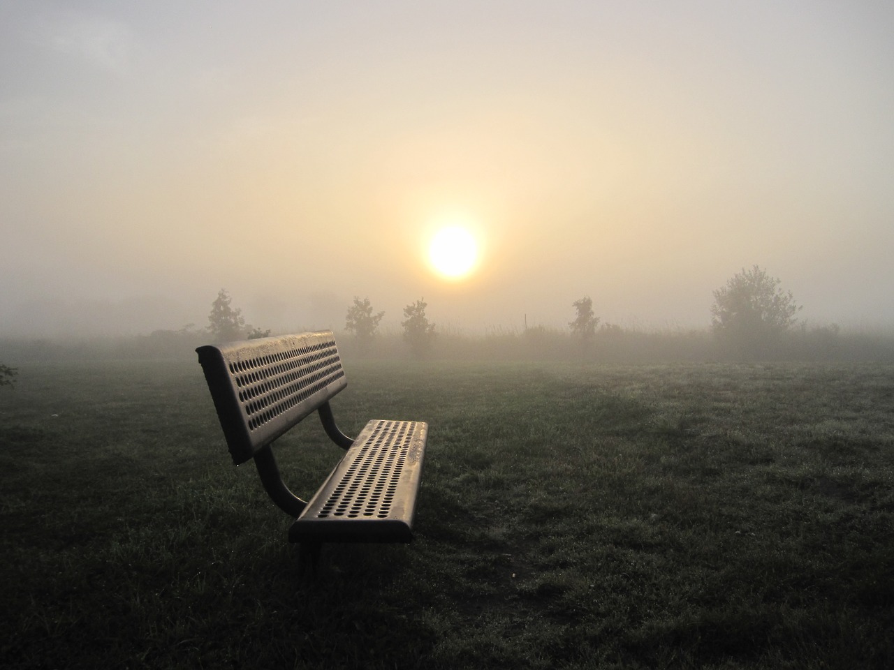 Image - sunrise dawn fog park bench