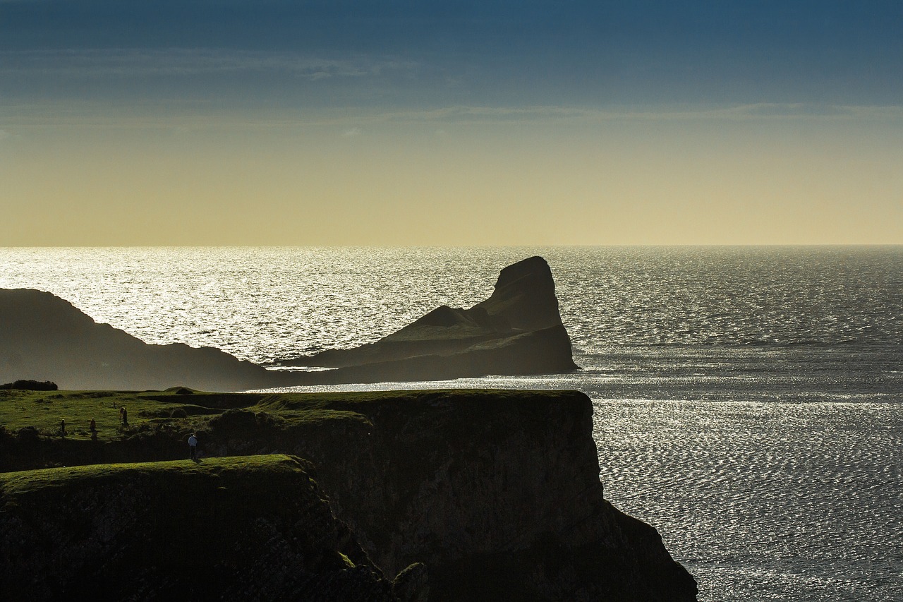 Image - reef ocean worms head wales