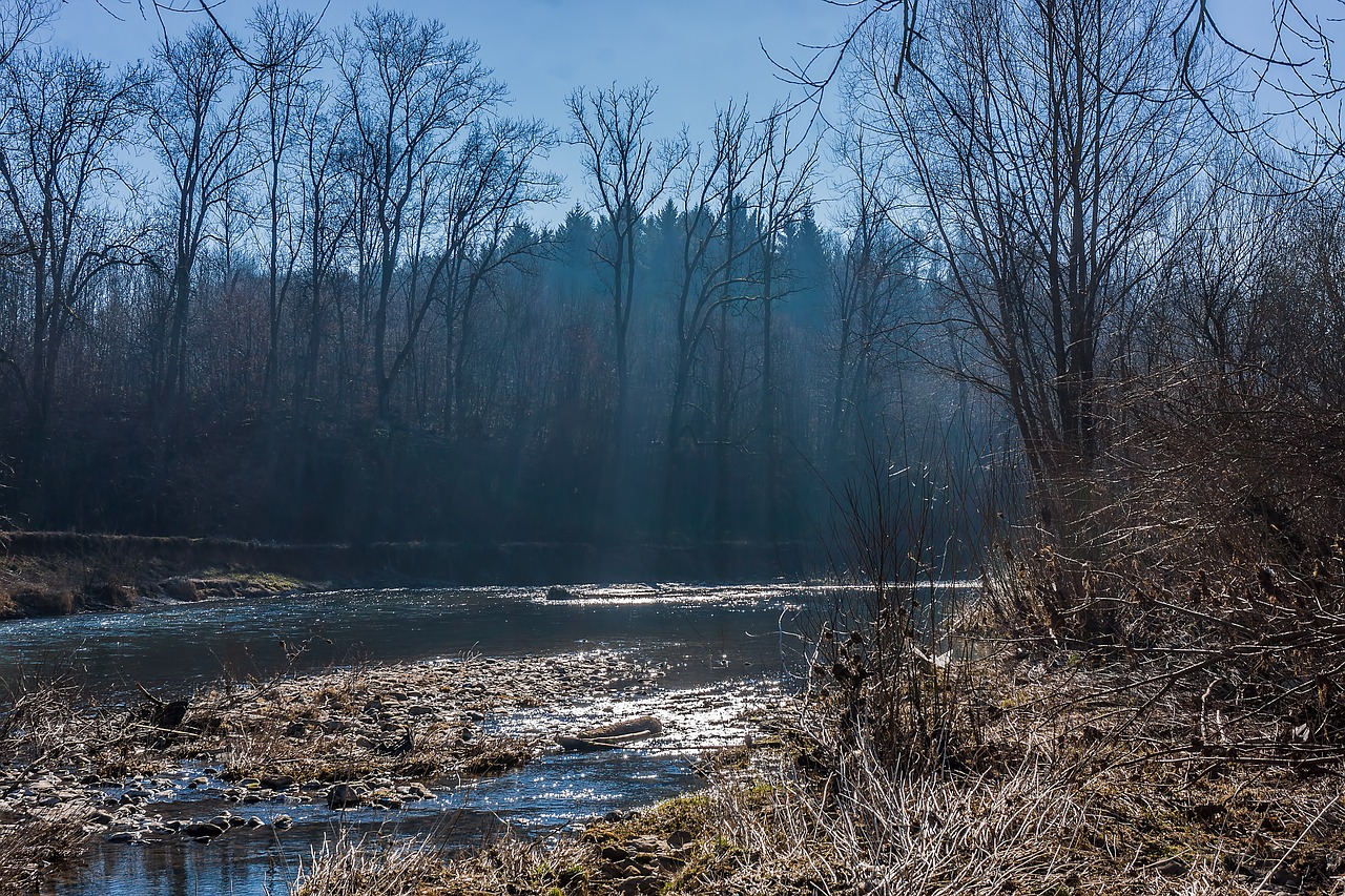 Image - outdoor trees river spring haze