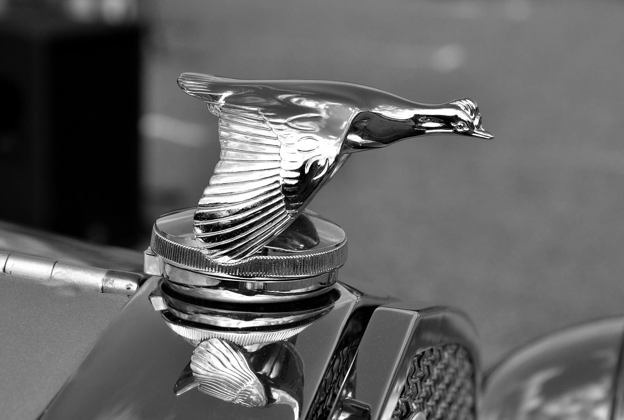 Image - vintage hood ornament antique