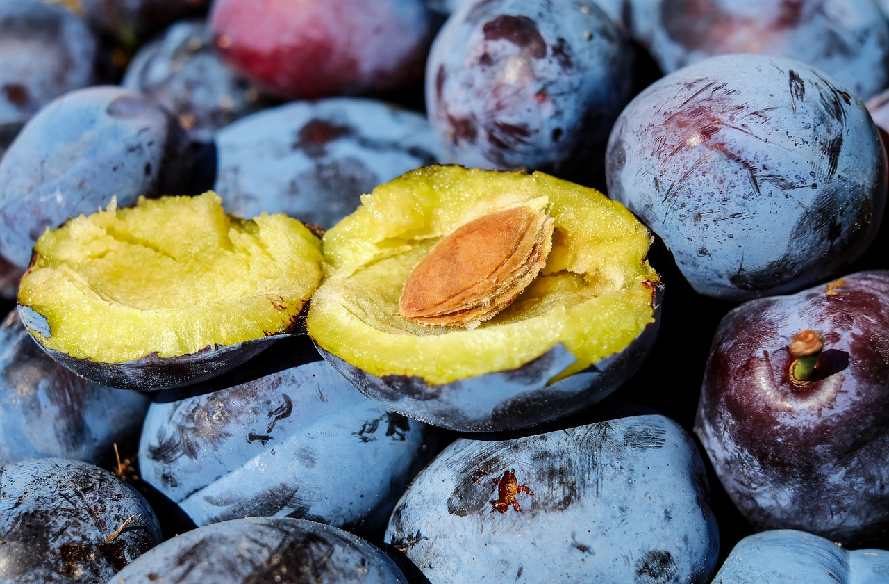 Image - plum fruit cut in half stone