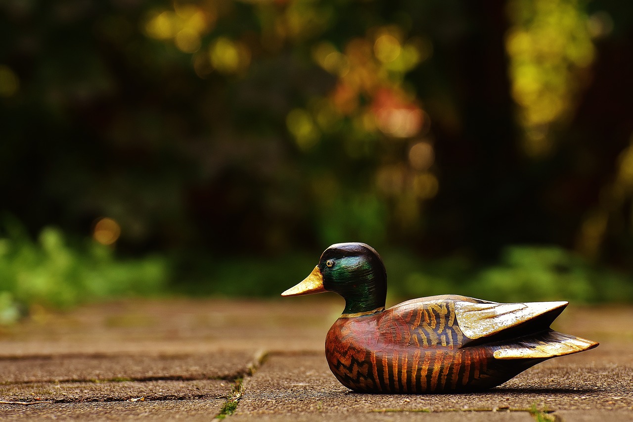 Image - duck deco figure cute sweet wood
