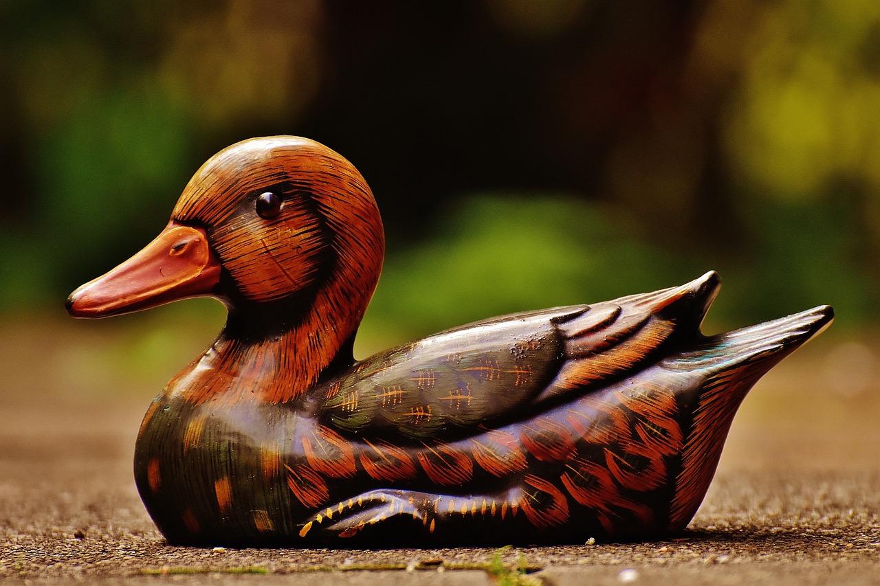 Image - duck deco figure cute sweet