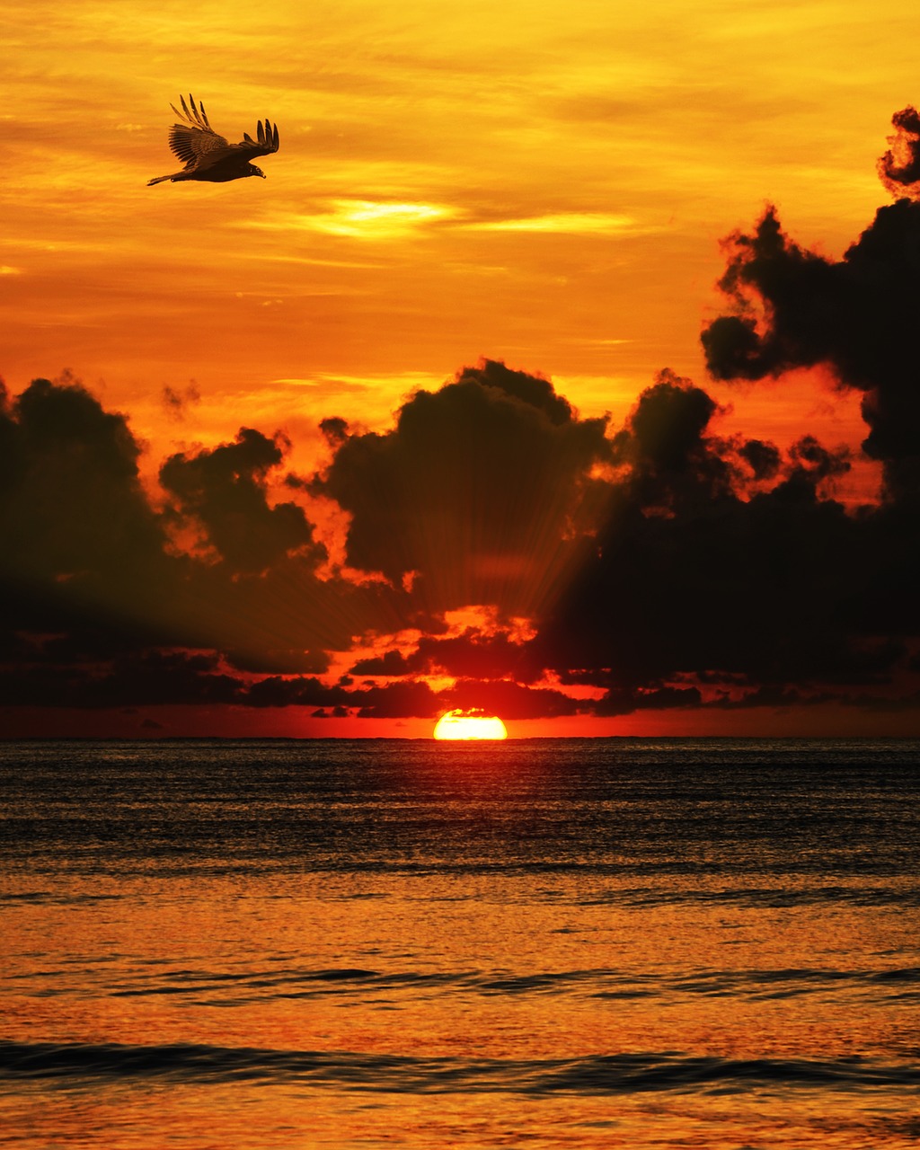 Image - sunset sea clouds ocean water sun