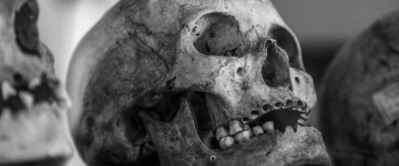 Image - skull old human skull