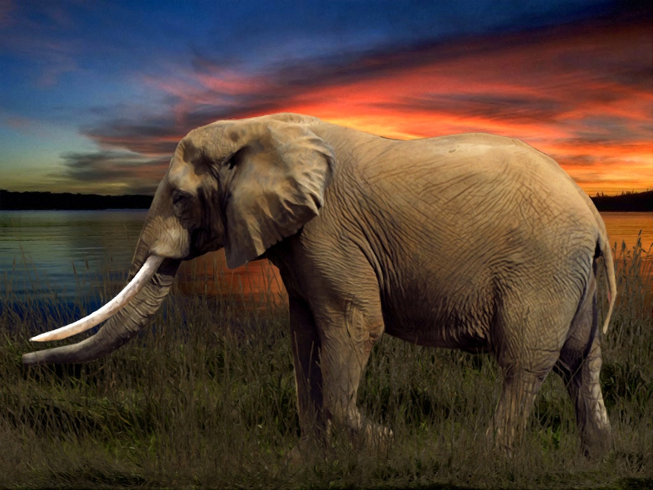 Image - elephant savannah arrangement