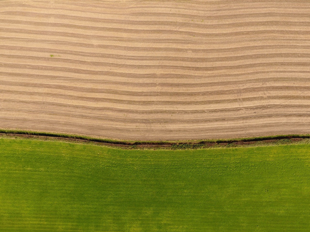 Image - field aerial landscape nature