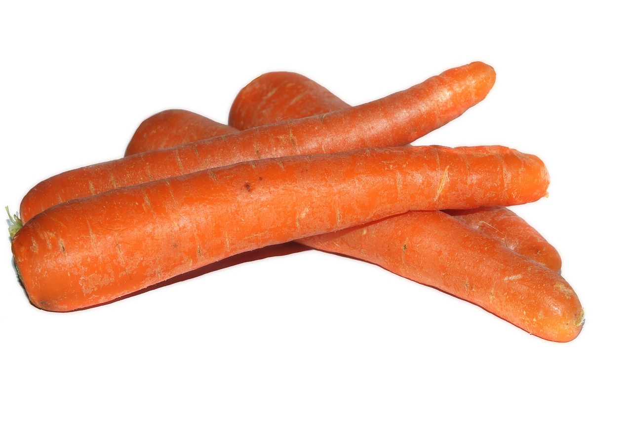 Image - carrots carrot plant isolated