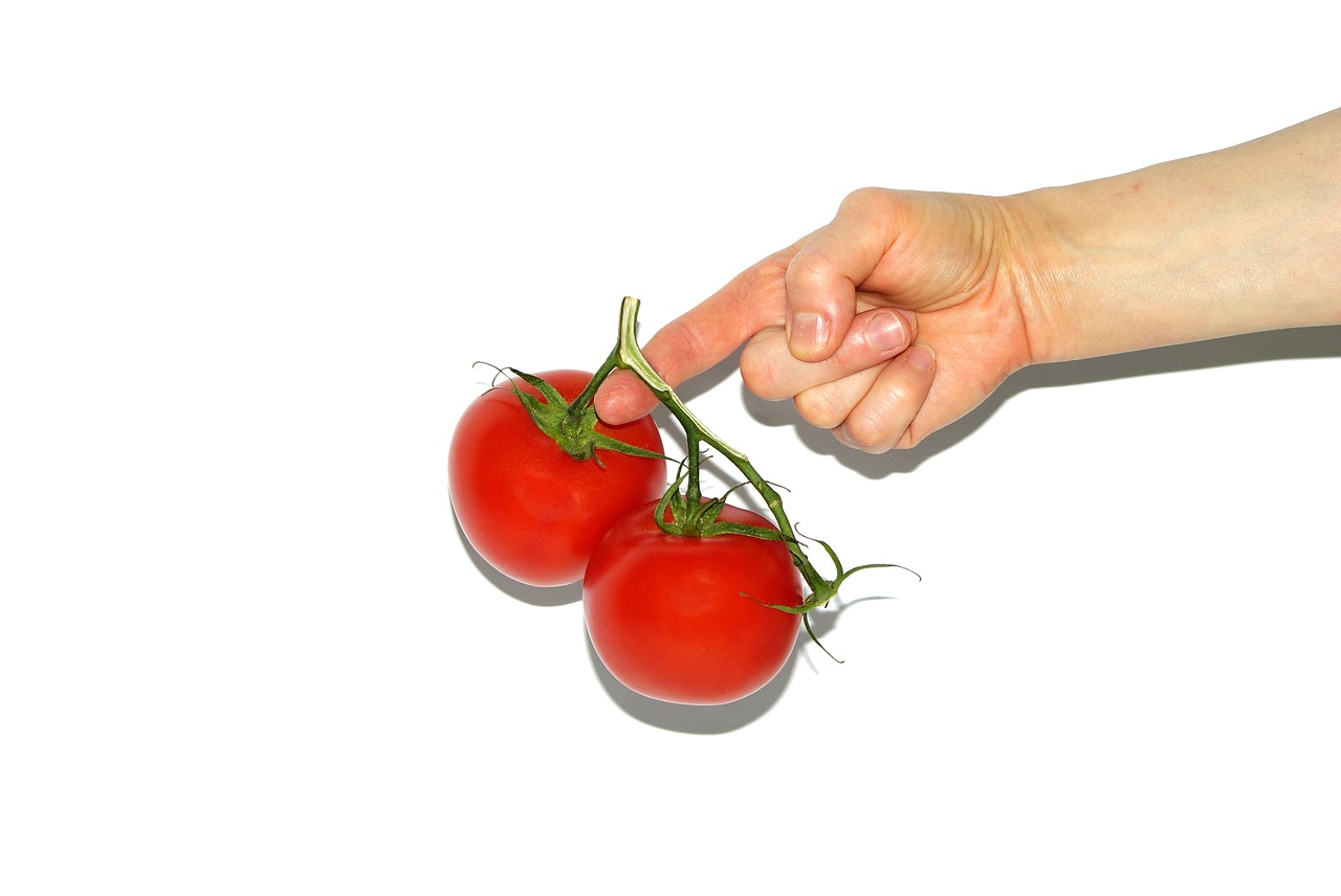 Image - tomato the hand hands woman