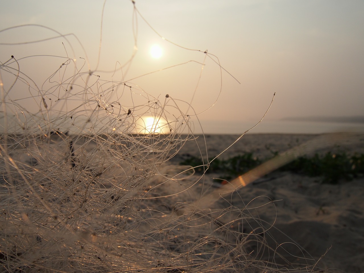 Image - hai bian fishing nets