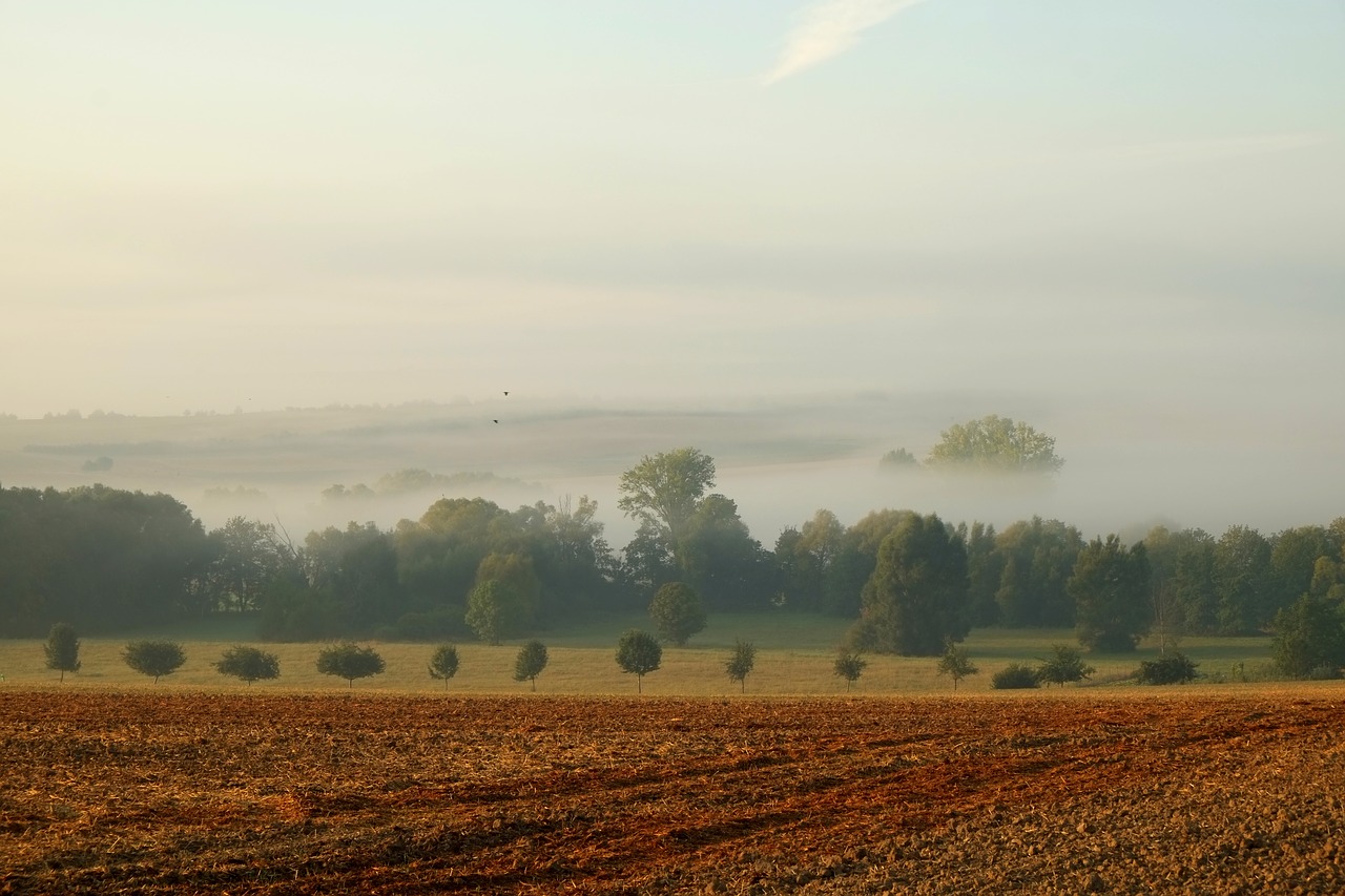 Image - landscape fog nature mood trees