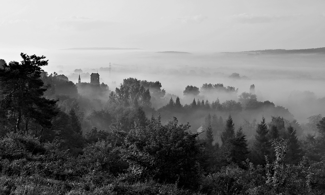Image - fog morning view landscape poland