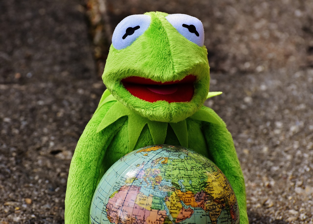Image - embrace the whole world kermit frog