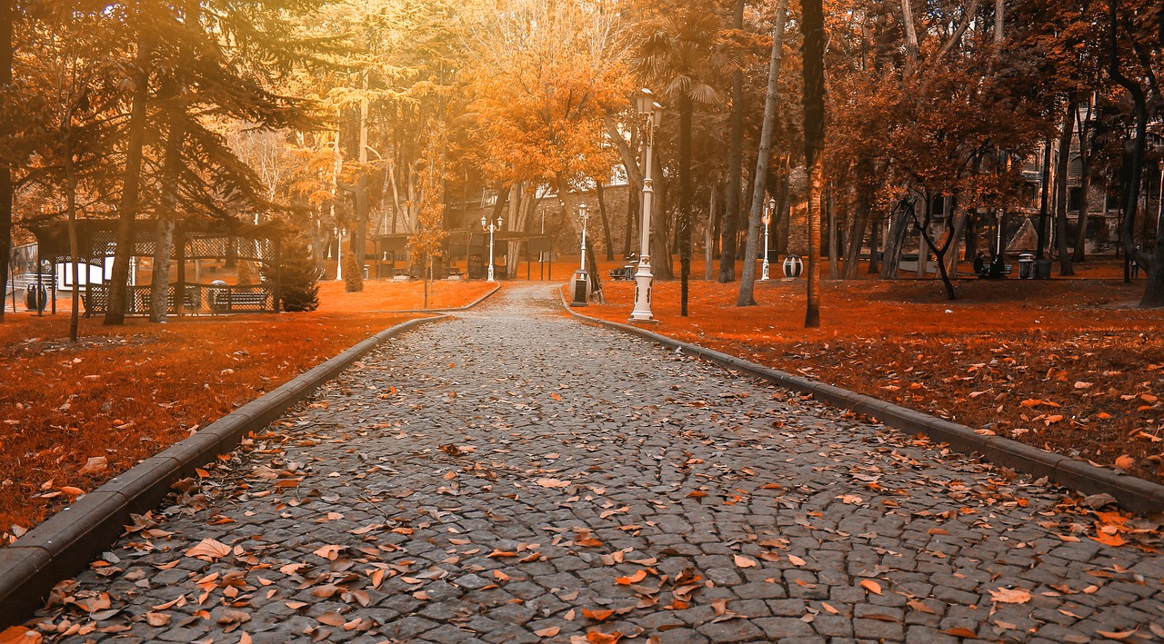 Image - road path park nature istanbul