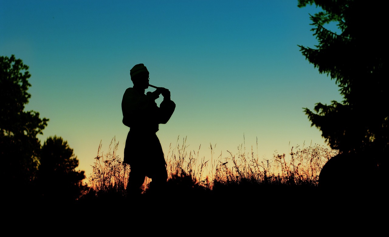 Image - sunset silhouette musician dudochka