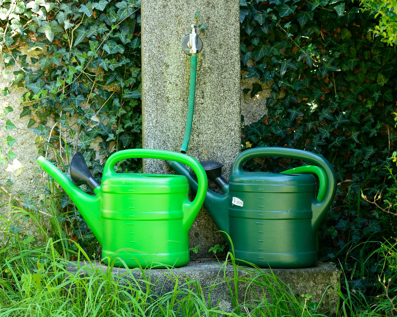 Image - watering hole watering can casting