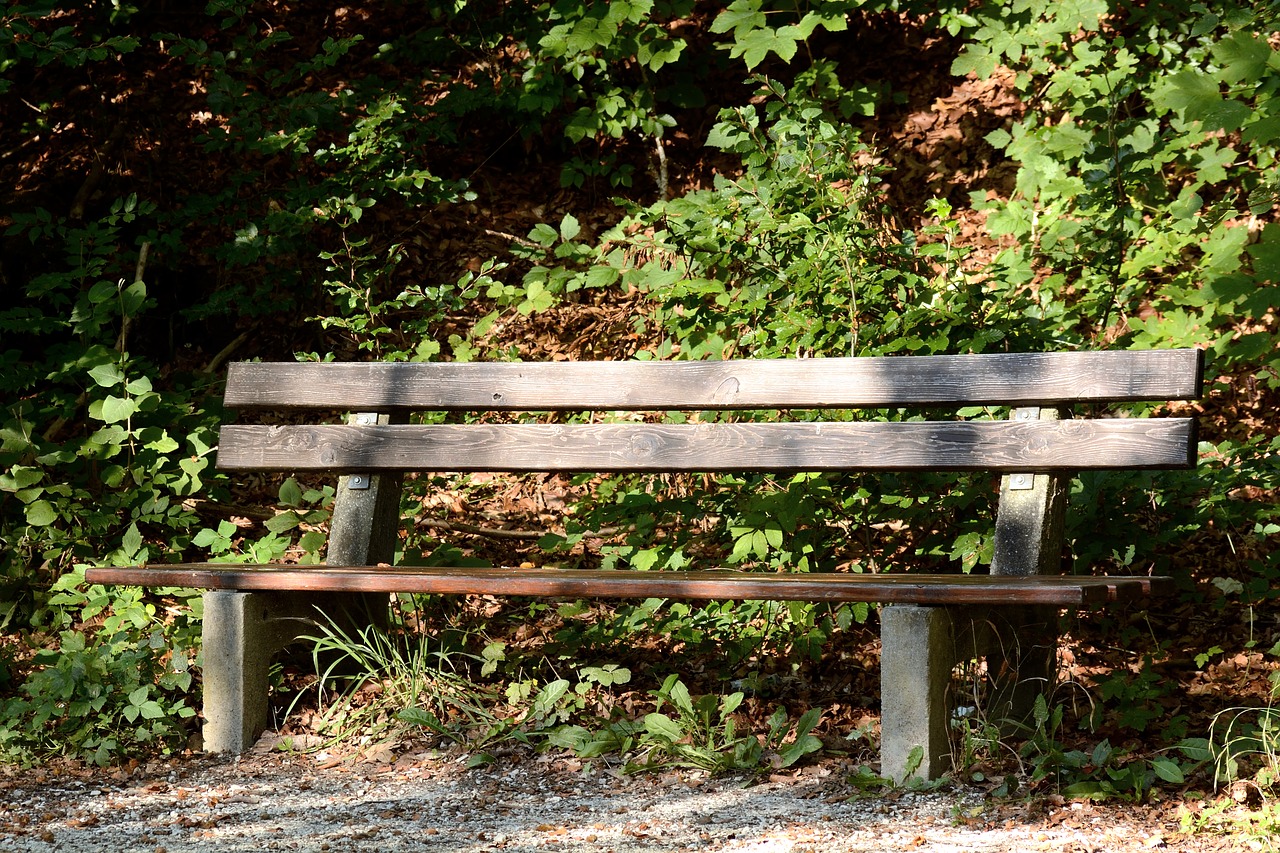 Image - bench wooden bench bank nature