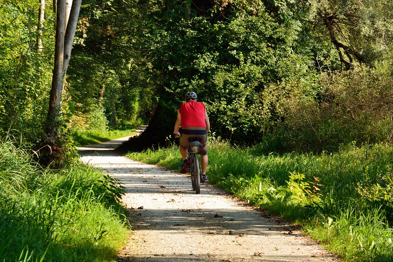 Image - cycling cyclists forest nature