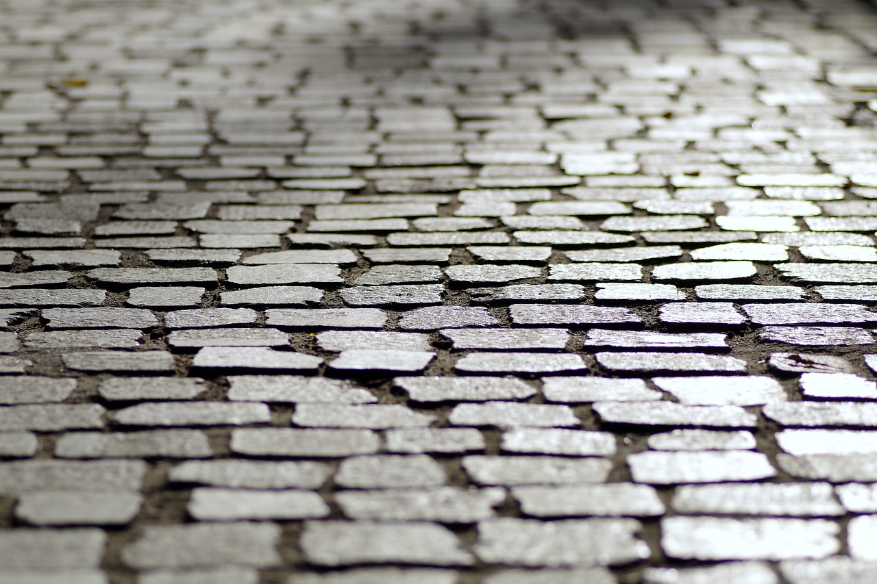 Image - pavers pavement walkway the stones