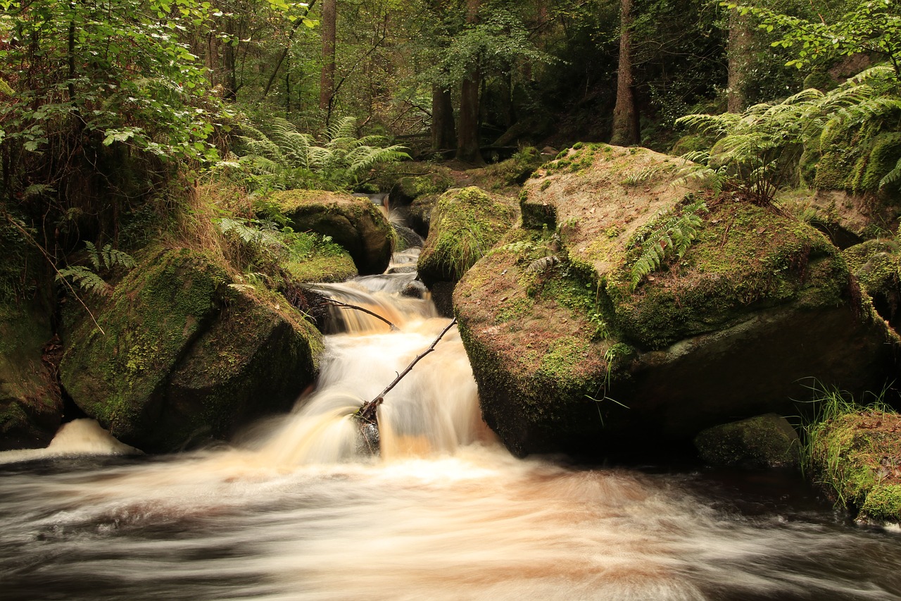 Image - water fast rocks trees moss fern