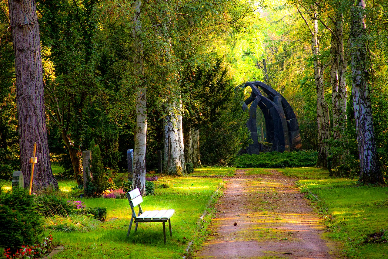 Image - cemetery forest grave stones