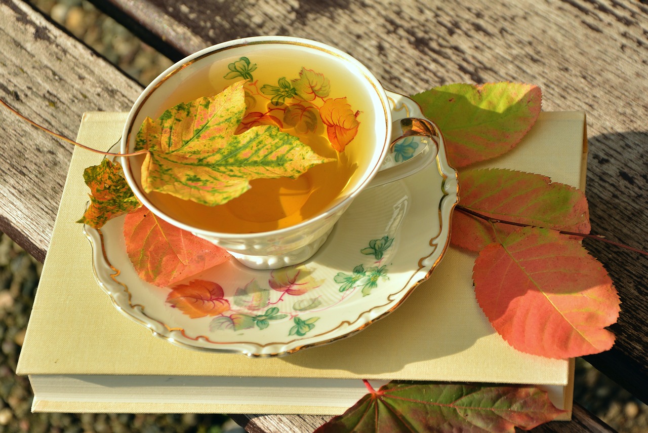Image - tee teacup autumn autumn colours
