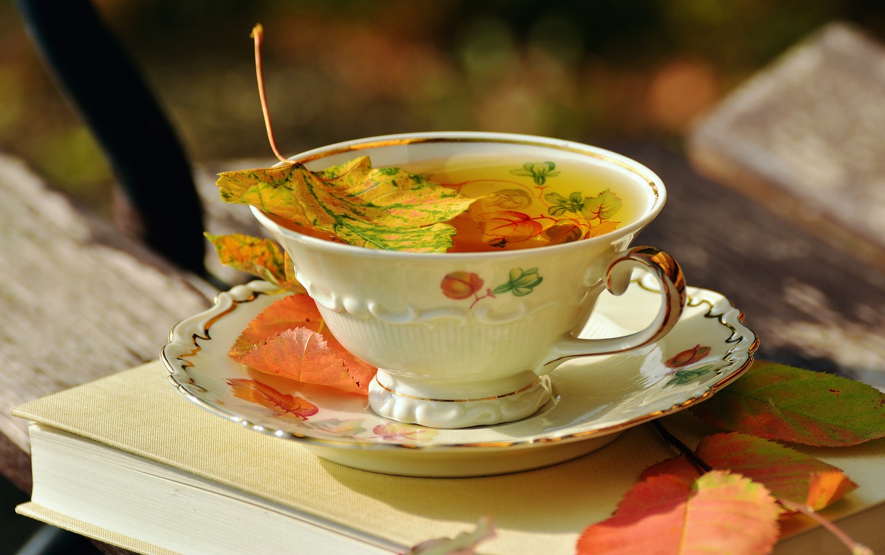 Image - tee teacup autumn autumn colours